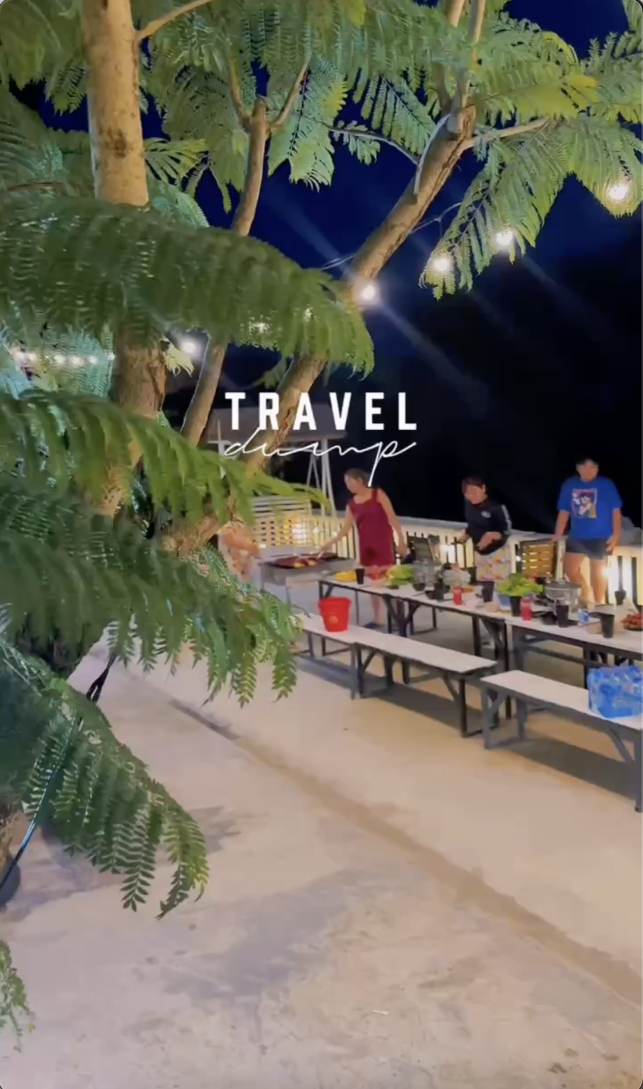 Video 4