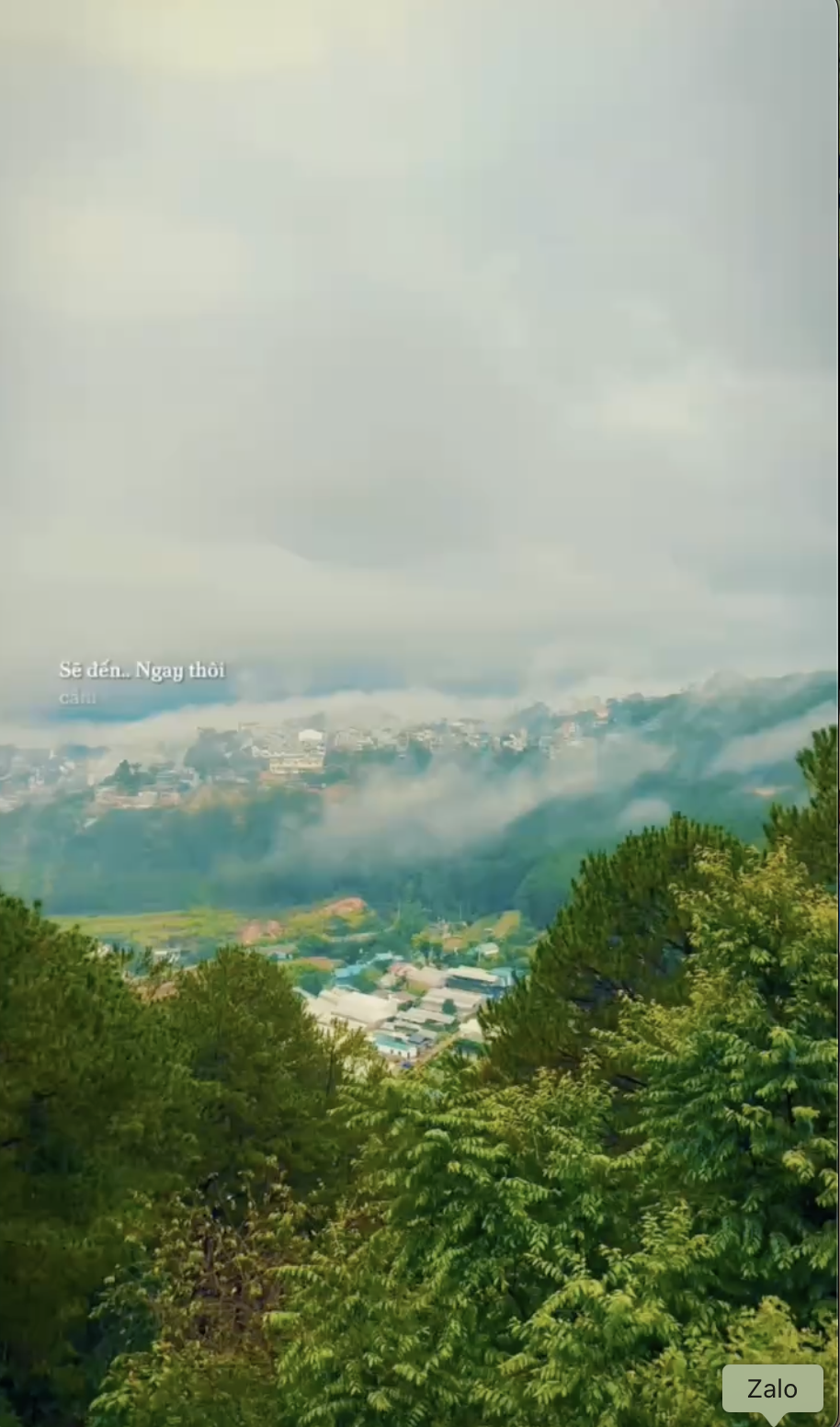 Video 5